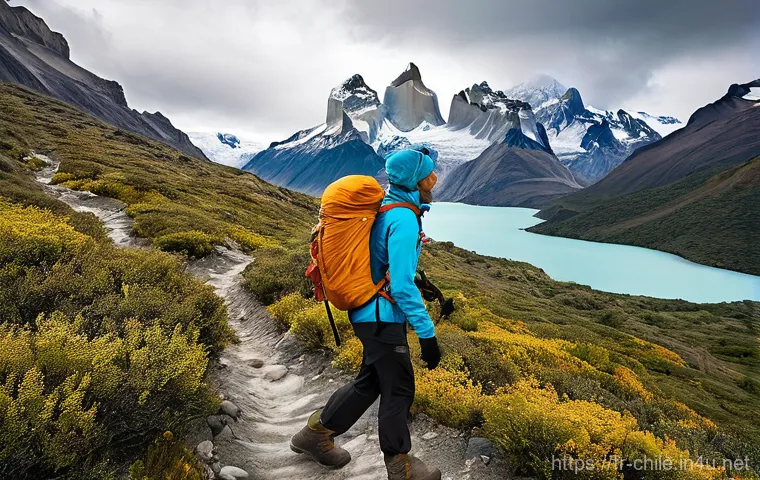 칠레 날씨와 계절별 옷차림 - **Atacama Desert Stargazer:** A solo traveler, dressed in warm, layered outdoor clothing including a... 칠레 날씨와 계절별 옷차림 - **Atacama Desert Stargazer:** A solo traveler, dressed in warm, layered outdoor clothing including a...